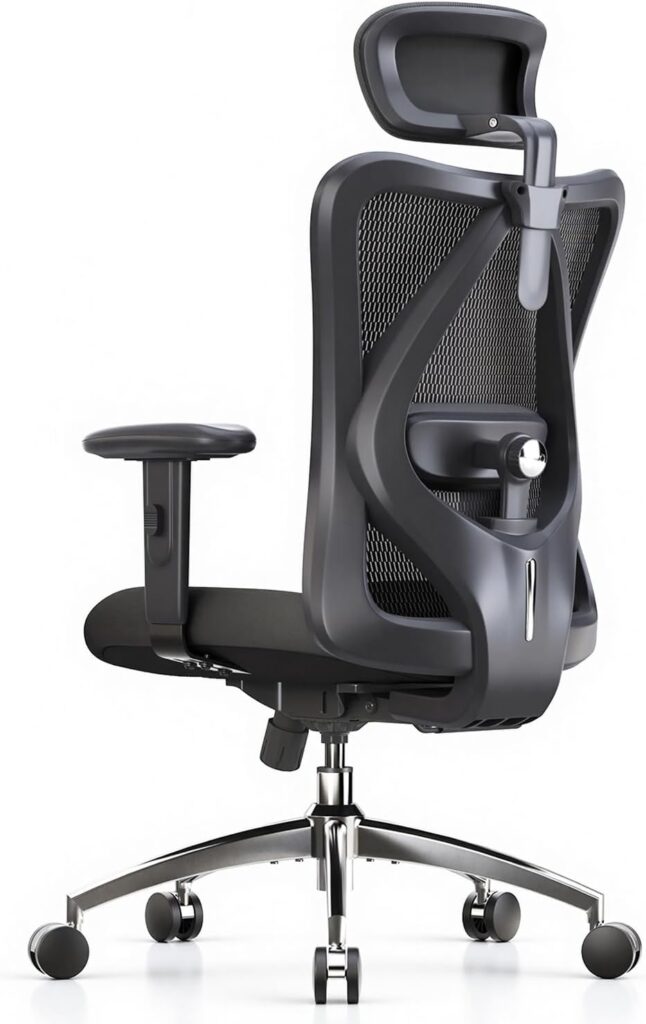 SIHOO M18 ergonomic mesh office chair with headrest, black